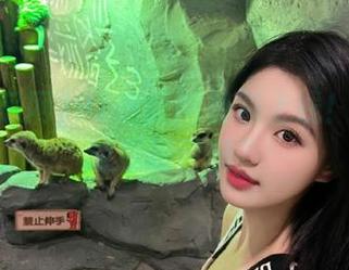 91吃瓜网视频上线！今天你被瓜砸了吗？