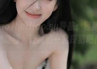 heiliao.su导航：冒险者的瓜地地图，让我们一起探猎吧！