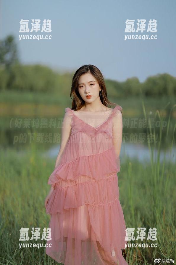 好莱坞黑料正能量app的下载线路，简直是瓜田李下的聚会！