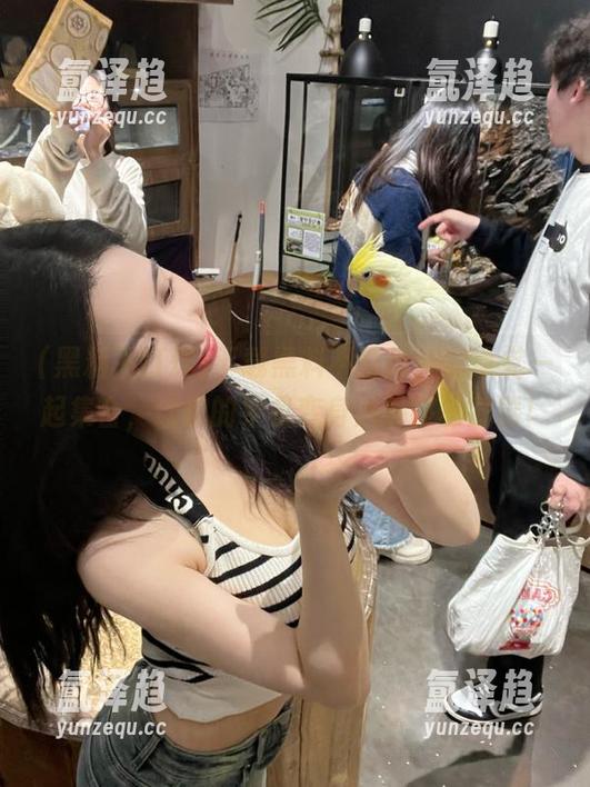 下载黑料不打烊，安卓党一起集合，让你的手机变身八卦终极武器！