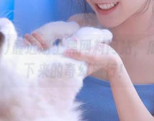最近迷上黑网料网站，瓜也能买下来的奇幻旅行！